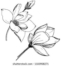 Magnolia in a vector style isolated. Full name of the plant: Magnolia. Vector flower for background, texture, wrapper pattern, frame or border.