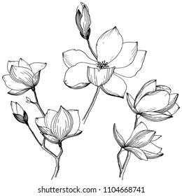 Magnolia in a vector style isolated. Full name of the plant: Magnolia. Vector flower for background, texture, wrapper pattern, frame or border.