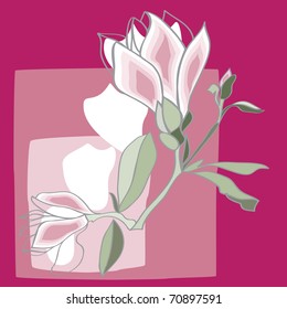Magnolias Illustration Vector