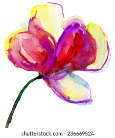 Magnolia,vector illustration