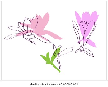 Magnolia.Vector.Image on white and color background.