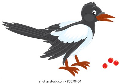 Magpie