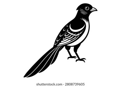 Magpie bird black and white vector illustration isolated on white background