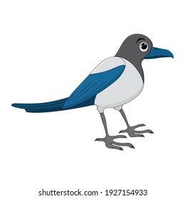 Cute Blue Jay Poses Cartoon Vector Stock Vector (Royalty Free) 510825295