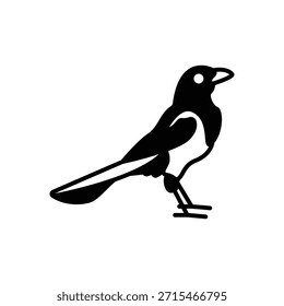 Icono de relleno de aves urraca: Inteligencia y vida silvestre