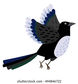 Magpie bird in flight