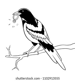 Magpie bird with golden ring coloring retro vector illustration. Isolated image on white background. Comic book style imitation.