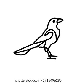 Magpie Bird Line Icon: Intelligence and Wildlife
