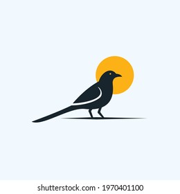 magpie bird logo design vector illustration