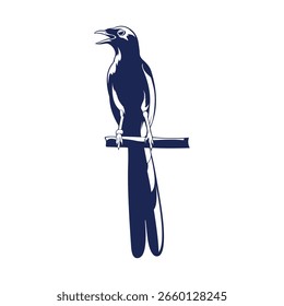 Vector de diseño de logotipo de Magpie Bird. Ilustración de Plantilla de aves de la urraca