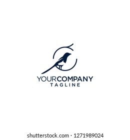 magpie bird logo vector 