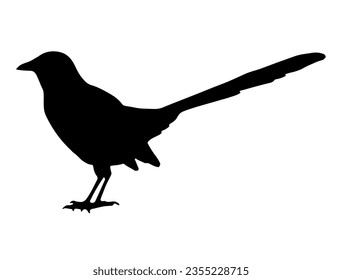 Magpie bird silhouette vector art svg