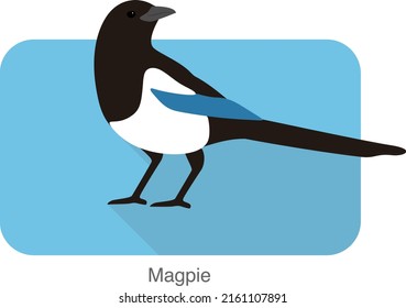 Magpie bird standing on a branch, vector illustration