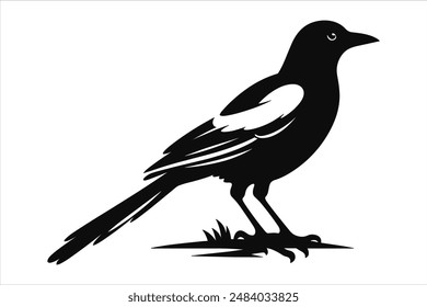 A magpie bird vector artwork