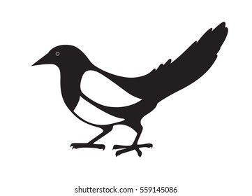 Magpie. Black and white image on white background. Vector isolated.