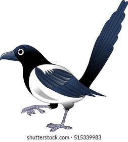 magpie cartoon vector illustration isolated on white background