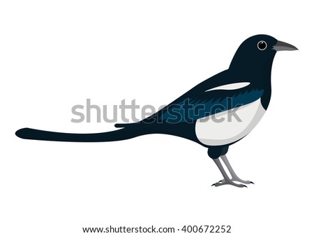 magpie cartoon vector illustration isolated on white bacground