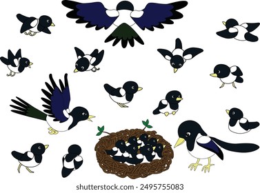 Magpie and magpie chicks in cartoon style. Set of vector illustrations in cartoon style.