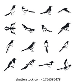 Magpie crow bird icons set. Simple illustration of 16 magpie crow bird vector icons for web