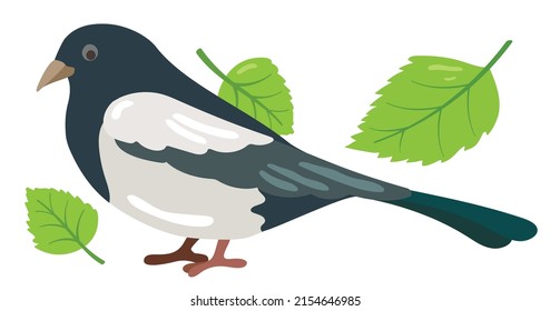 Magpie forest bird. Hand drawn vector illustration. Suitable for website, stickers, greeting cards, children's products.