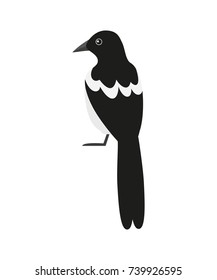Magpie icon on the white background. Vector illustration.