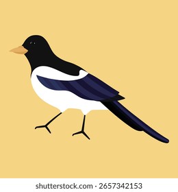 Ilustración de urraca adecuada para su uso en Imágenes Chilseok