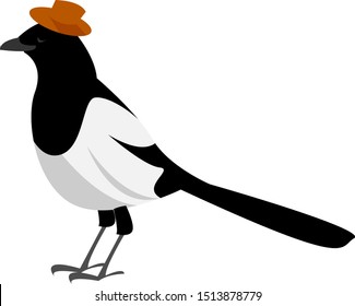 Magpie, illustration, vector on white background.