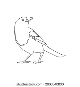 Magpie Line Drawing Clip Art 