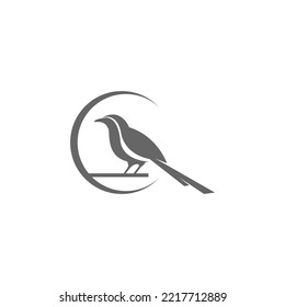 Magpie logo icon illustration design vector