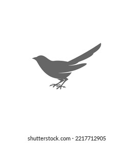 Magpie logo icon illustration design vector