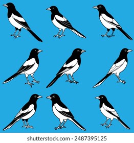 Magpie logo. Isolated magpie on white background.Cute Vector Art...