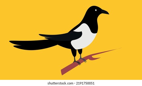 magpie on a branch on a yellow background