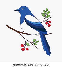 Magpie en una rama romana. Imagen extraída a mano por vectores para libros infantiles, postales, pegatinas, impresión