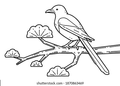 A magpie on a tree branch. Vector line art illustration.