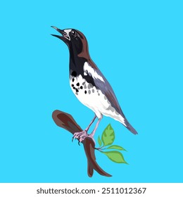 a magpie perched on the tip of a tree branch with a blue background