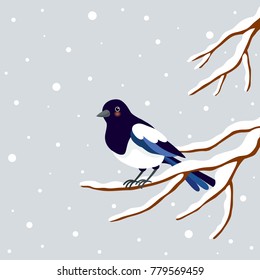 Magpie perching on a winter branch.Korean traditional Happy new year day