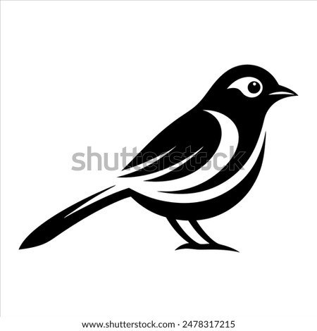 Magpie robin bird silhouette vector illustration