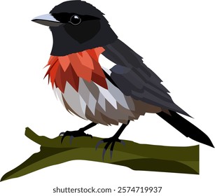 Magpie Robin vector file large size