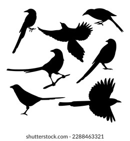 Magpie set silhouette birds isolated stencil templates for designing stickers posters svg