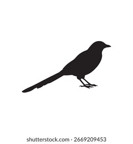 Diseño de ilustración plana de Vector de silueta de urraca sobre fondo blanco