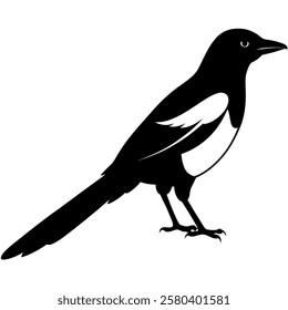 A magpie silhouette in white paper