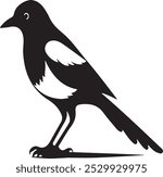 Magpie a singing bird silhouette vector style with white background