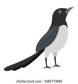Magpie thief icon. Flat illustration of magpie thief vector icon for web