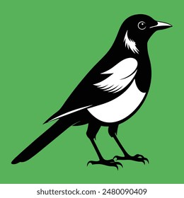 Magpie-Robin Vector Silhouette With white background. Magpie bird black and white vector logo. Magpie Robin logo on a branch icon design vector illustration in simple minimalist. Magpie silhouette.