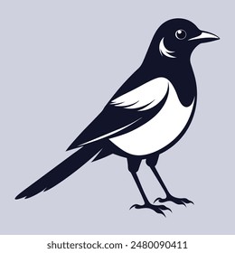 Magpie-Robin Vector Silhouette With white background. Magpie bird black and white vector logo. Magpie Robin logo on a branch icon design vector illustration in simple minimalist. Magpie silhouette.