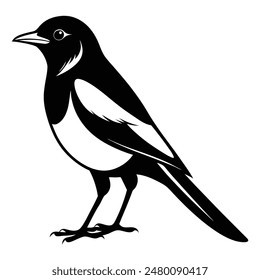 Magpie-Robin Vector Silhouette With white background. Magpie bird black and white vector logo. Magpie Robin logo on a branch icon design vector illustration in simple minimalist. Magpie silhouette.