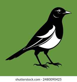Magpie-Robin Vector Silhouette With white background. Magpie bird black and white vector logo. Magpie Robin logo on a branch icon design vector illustration in simple minimalist. Magpie silhouette.