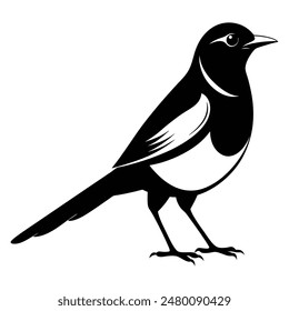 Magpie-Robin Vector Silhouette With white background. Magpie bird black and white vector logo. Magpie Robin logo on a branch icon design vector illustration in simple minimalist. Magpie silhouette.