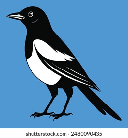 Magpie-Robin Vector Silhouette With white background. Magpie bird black and white vector logo. Magpie Robin logo on a branch icon design vector illustration in simple minimalist. Magpie silhouette.