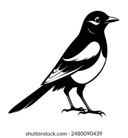 Magpie-Robin Vector Silhouette With white background. Magpie bird black and white vector logo. Magpie Robin logo on a branch icon design vector illustration in simple minimalist. Magpie silhouette.